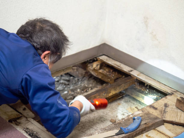 Best Mold Testing  in Enterprise, OR