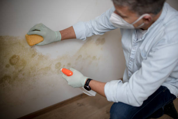 Best Crawl Space Mold Removal  in Enterprise, OR