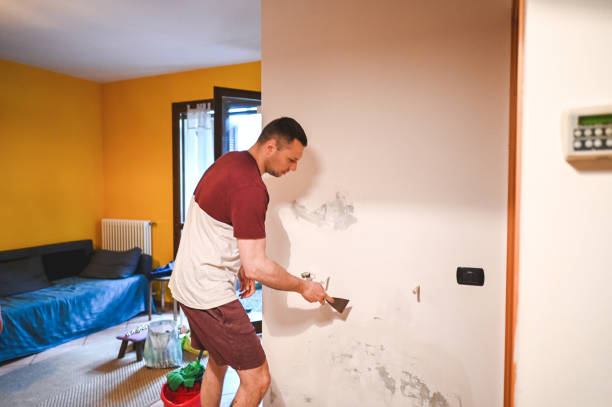 Best Emergency Mold Removal  in Enterprise, OR